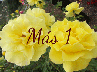 mas1